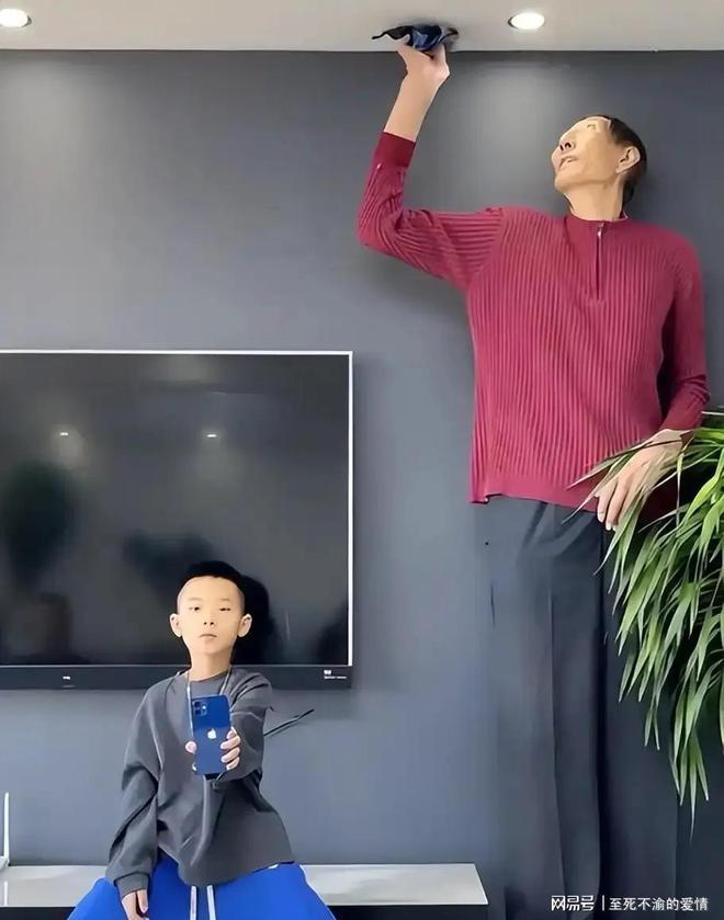 一个陈皮一个它，被称为“化脂黄金”，连喝30天，肚子平了血脂降